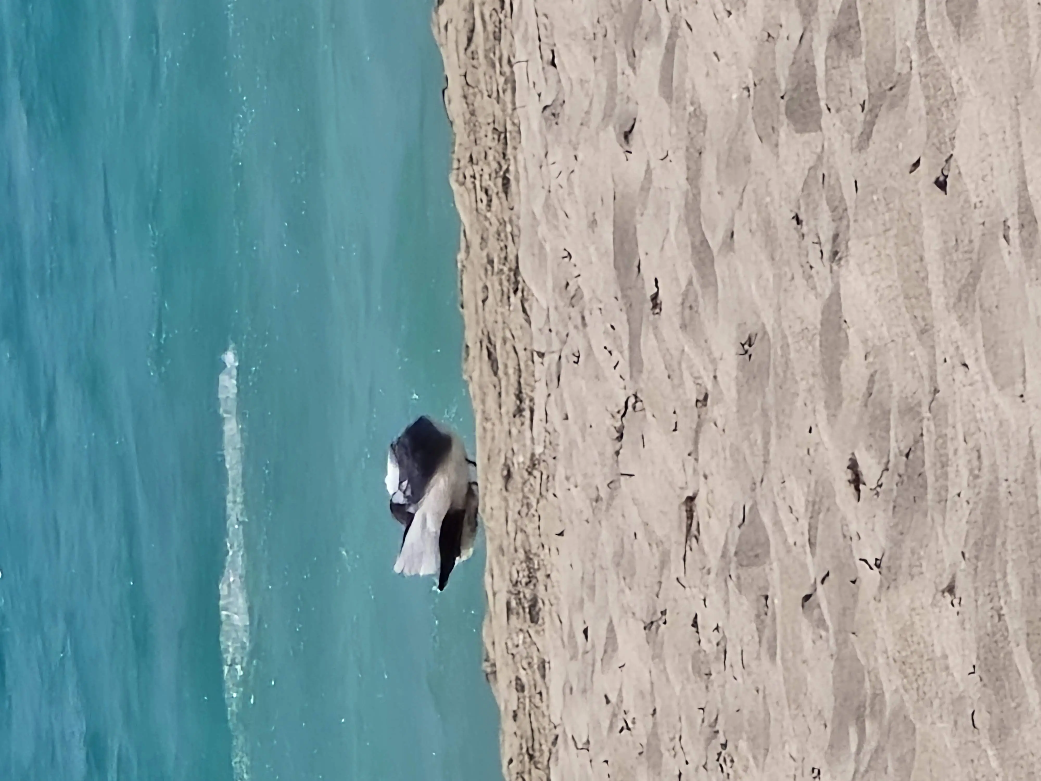 Un énorme merci