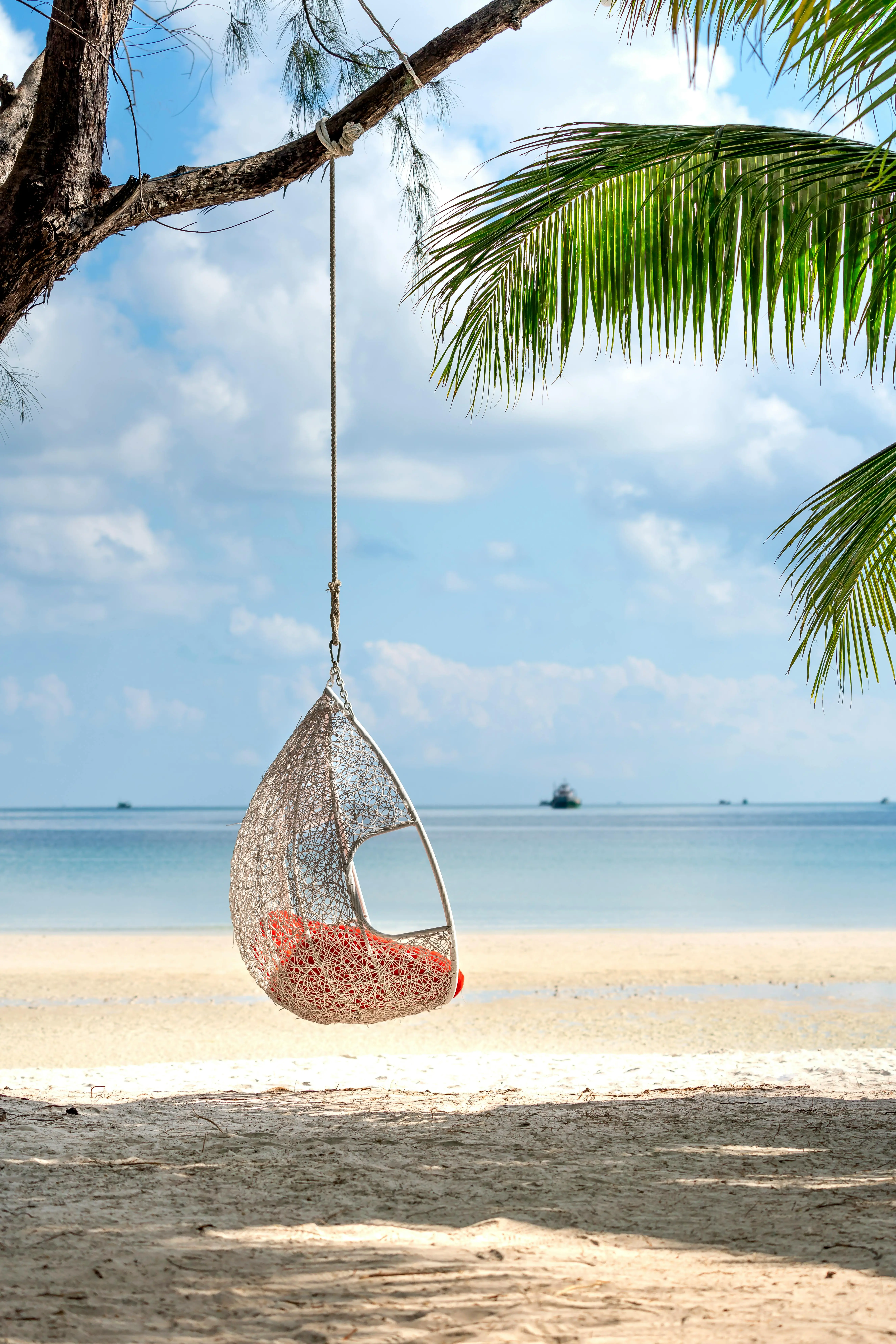 TRAVEL DEAL