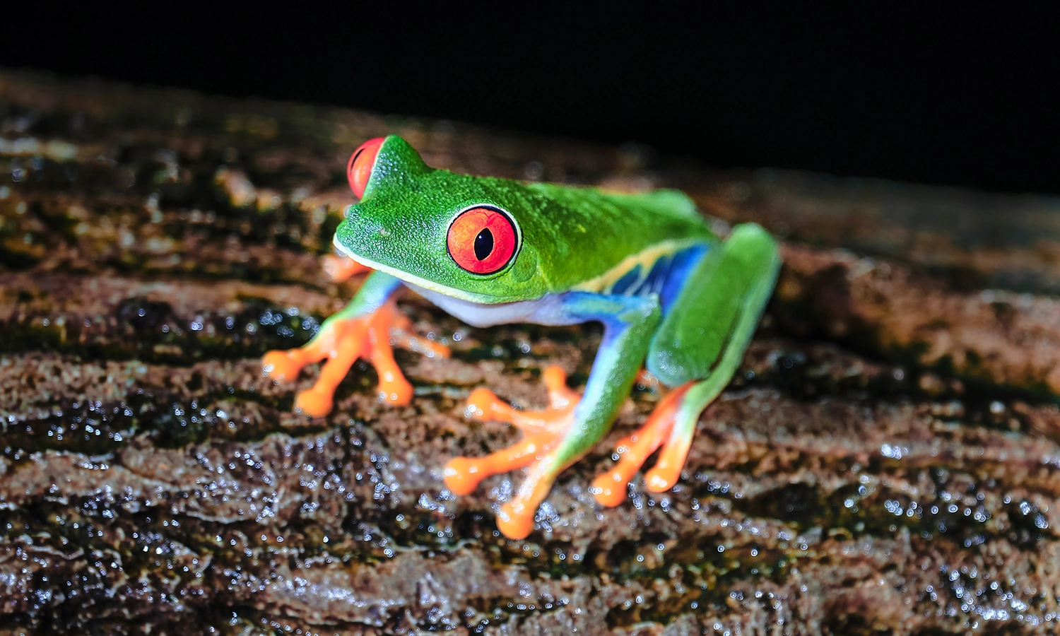 Costa Rica