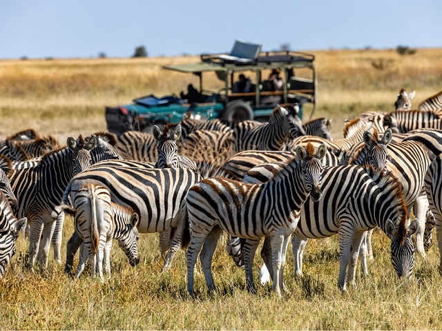African Travel Safari Adventures with Up to $1,000 Per Person in Savings