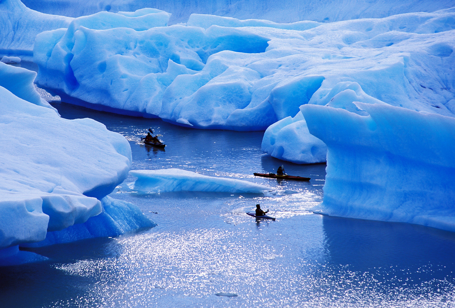 Sail Beyond Limits: 10 Expedition Cruise Adventures You Can't Find on Big Ships