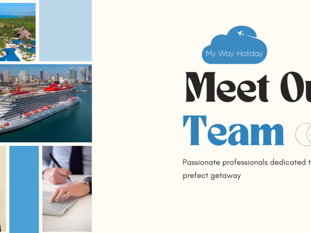 Meet Our Team