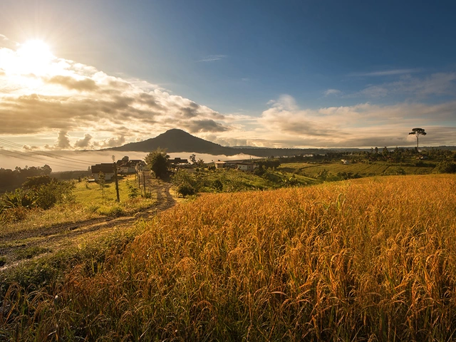 Ultimate Korea: Experience Asia’s Cultural Powerhouse