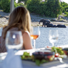 Savings for Solo Travelers on Tauck River and Land Journeys