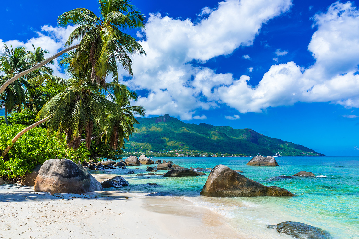 Seychelles-beach.jpg