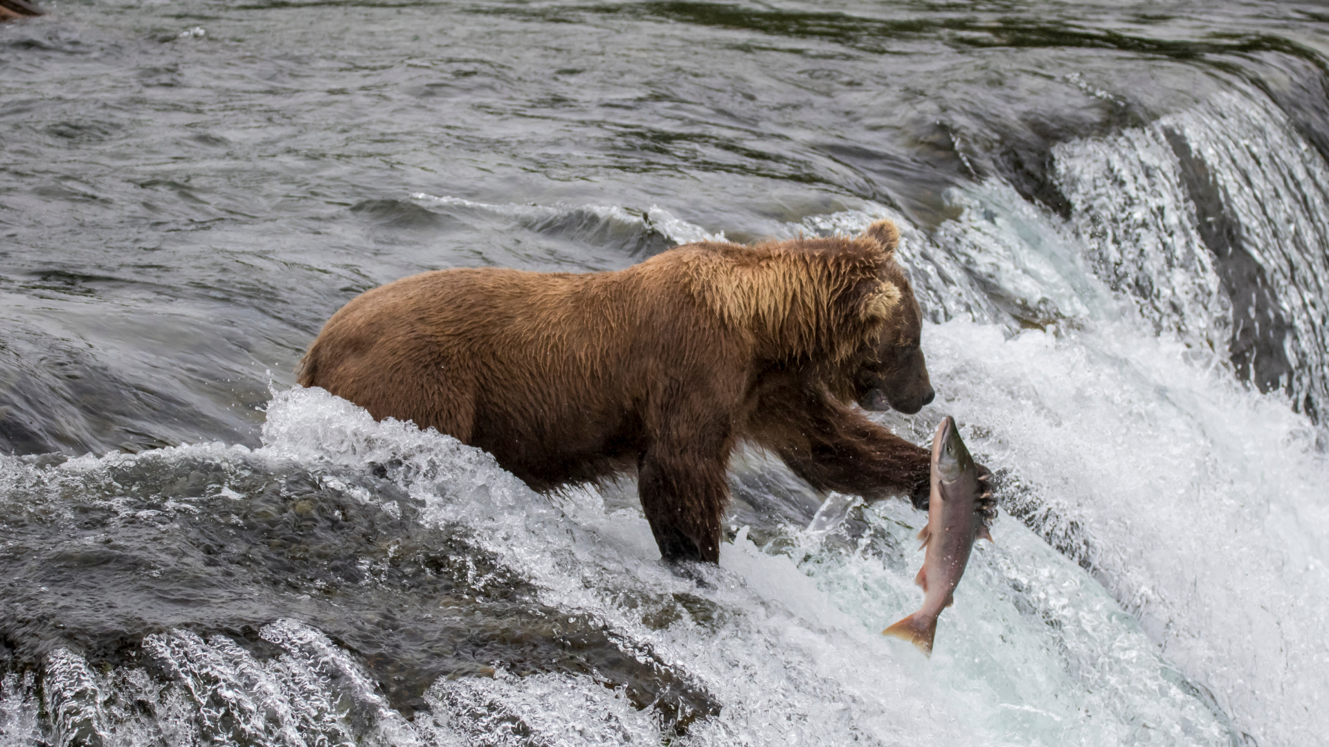 Azamara Cruises Launches 2027 Alaska Cruisetours