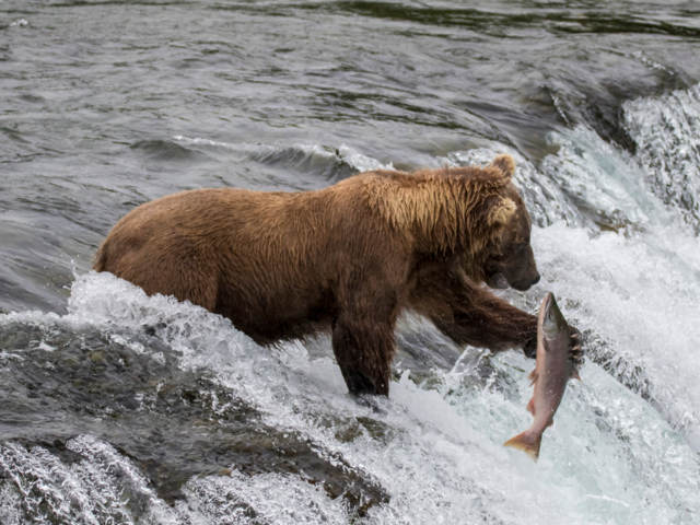 Azamara Cruises Launches 2027 Alaska Cruisetours