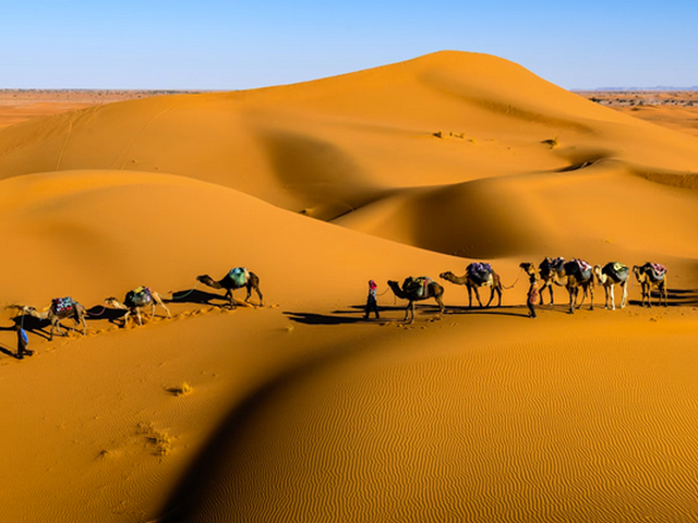 Make The Commitment To Travel