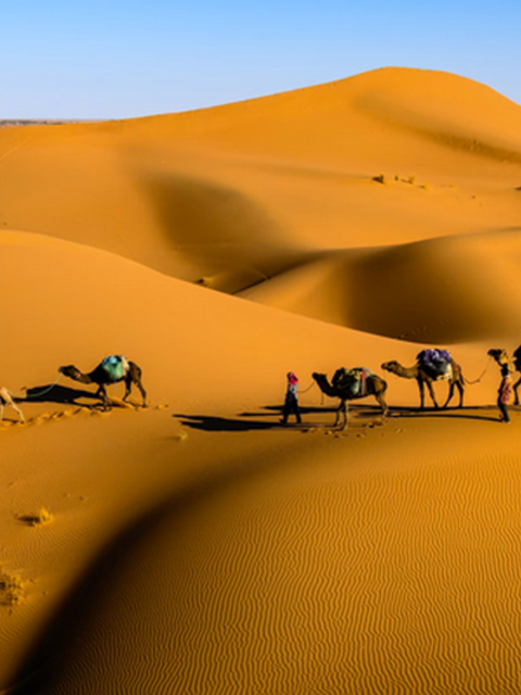 Make The Commitment To Travel