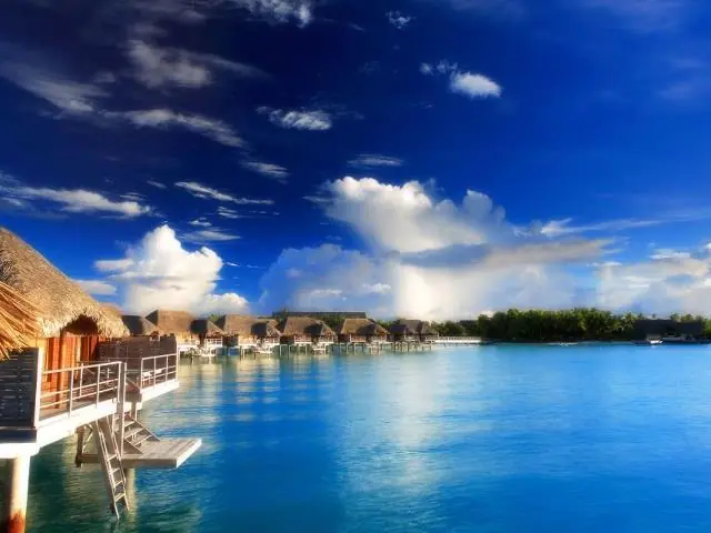 New Year, New Beginnings!