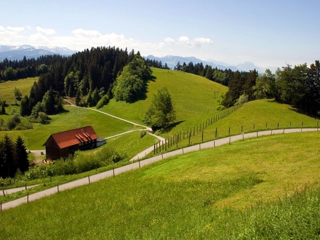 Sunday, August 9: Bregenz