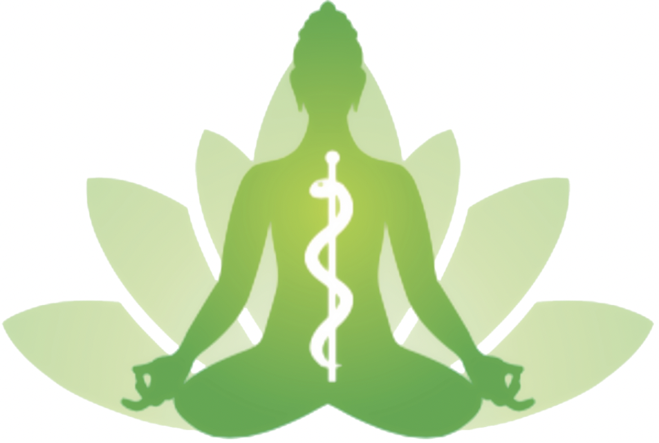  Paula Fortunato Yoga