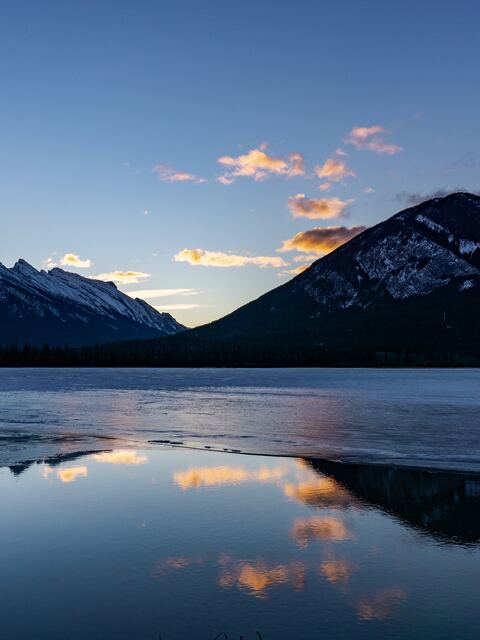 Holland America Line: Serving Up Delicious Delights