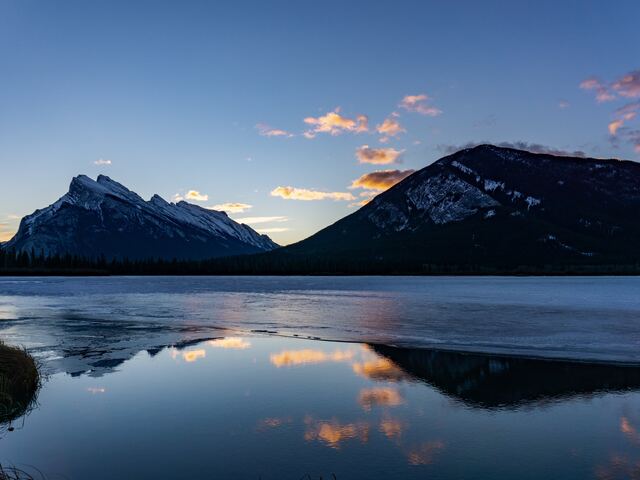 Holland America Line: Serving Up Delicious Delights