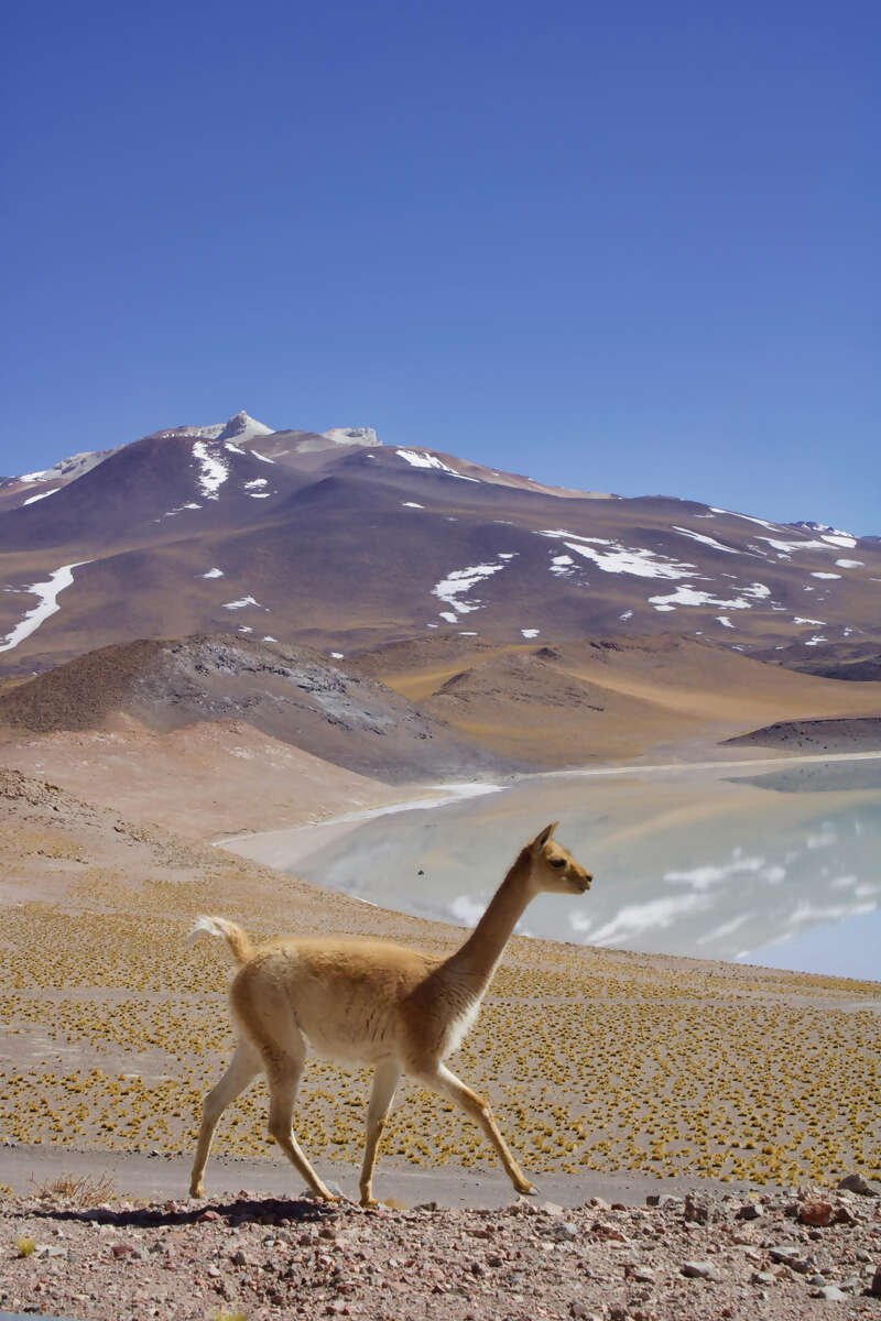 January 23rd - San Carlos de Bariloche - Breakfast