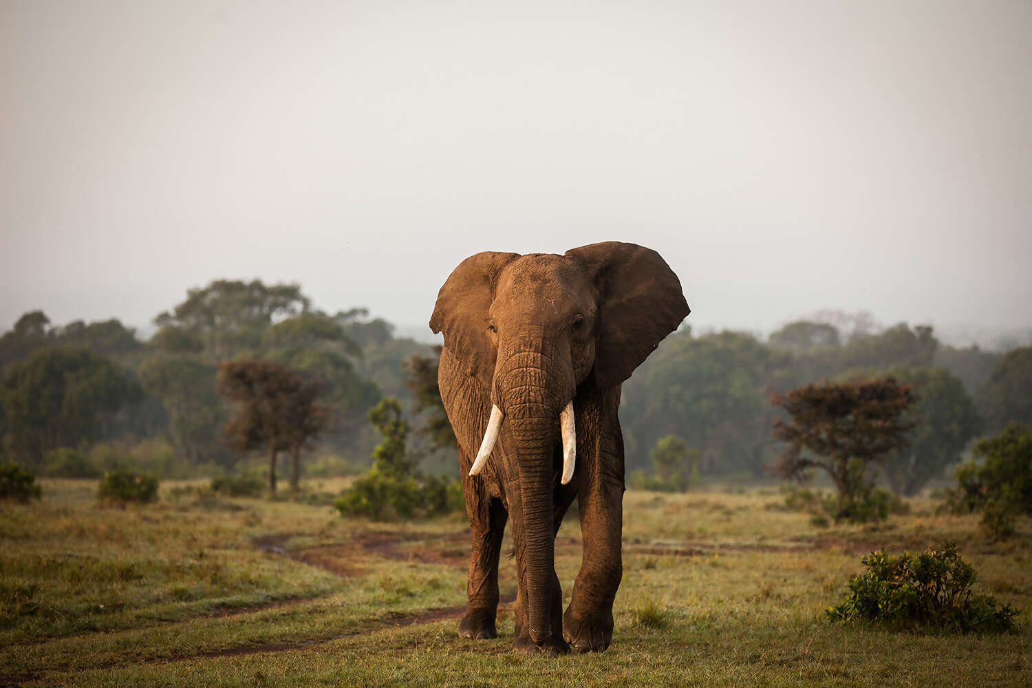 Bespoke Travel Experiences