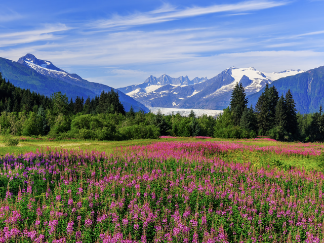 Discover Alaska's Untamed Wilderness Aboard Virgin Voyages