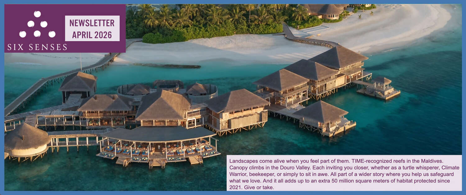 Six Senses Newsletter