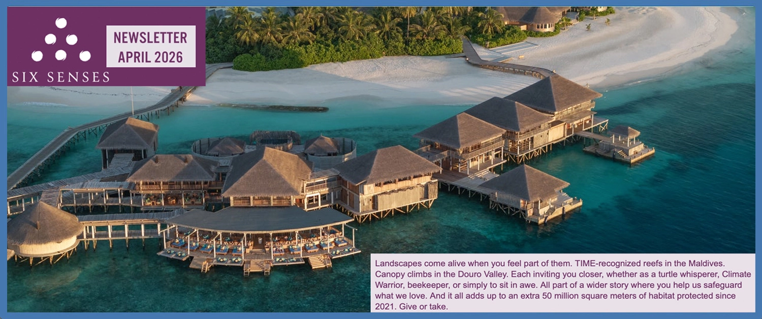 Six Senses Newsletter