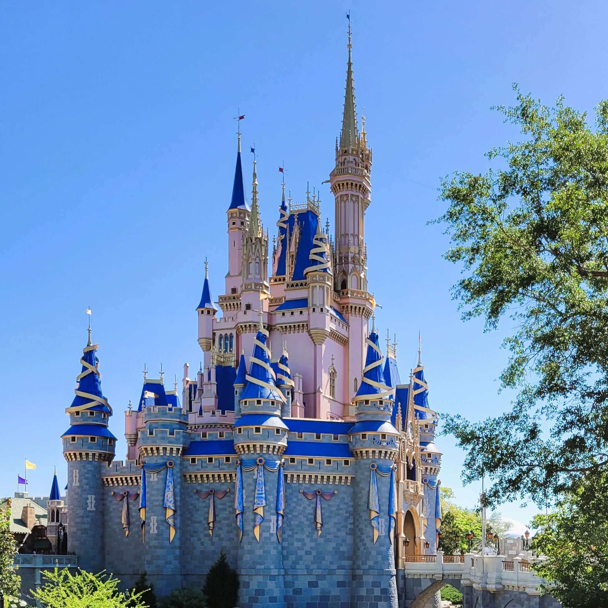 Discover the Magic of Travel with Atixhe (TJ) Zeneli