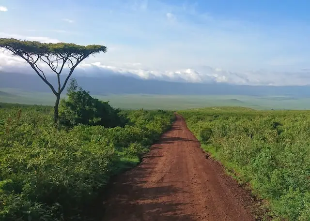 DAY 6: NGORONGORO CRATER