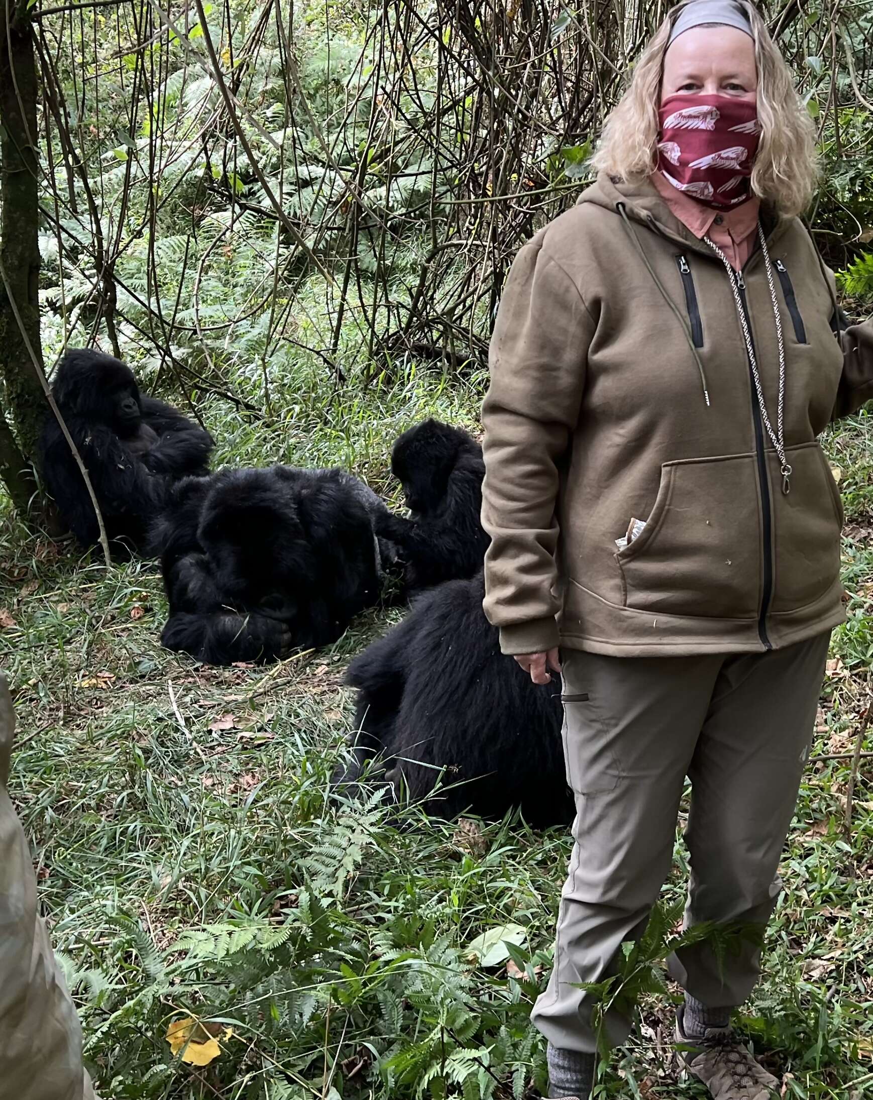 In the Mist: A Primate Trekking Safari Through Uganda and Rwanda