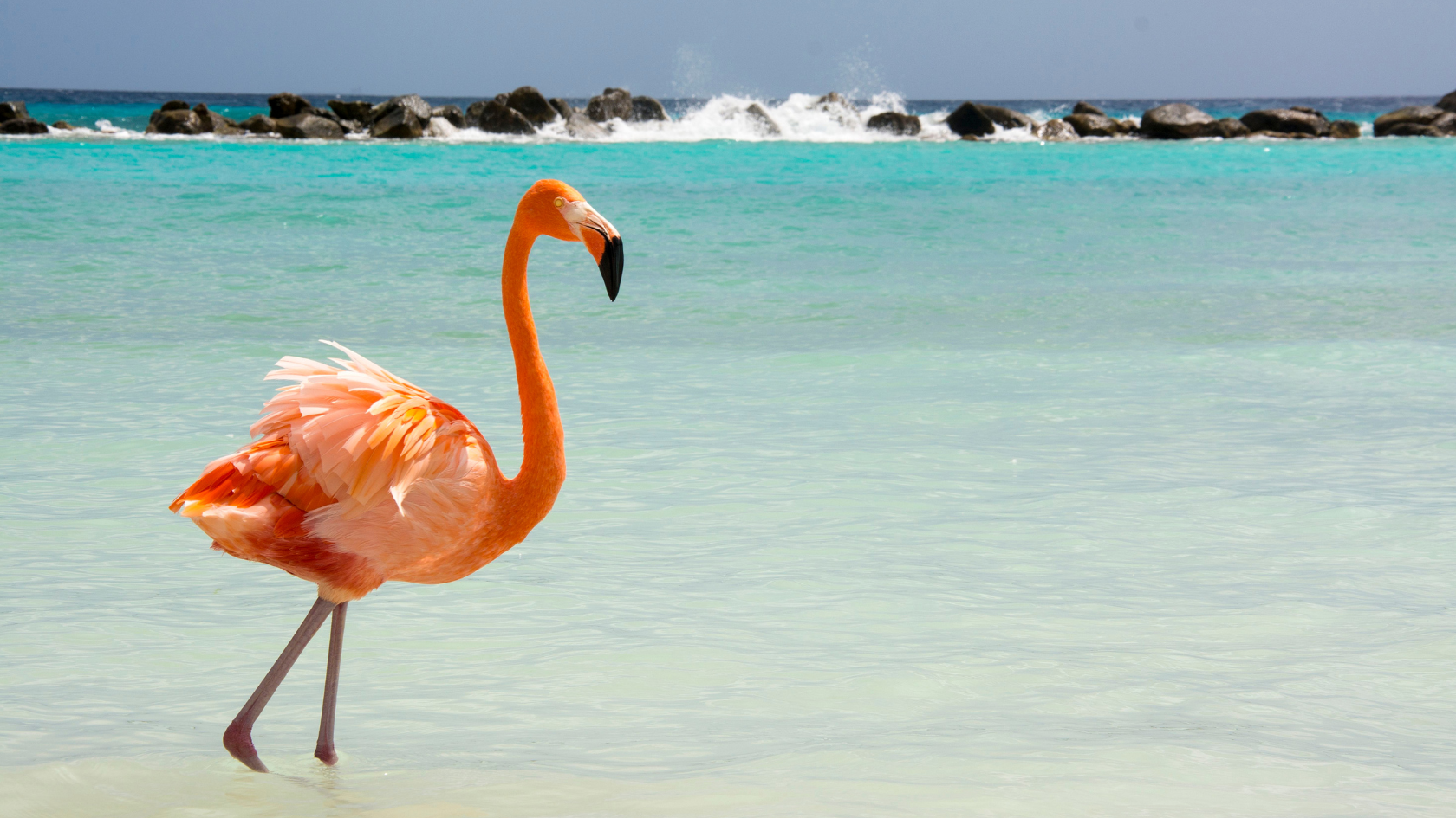 Escape to Aruba with Sunwing