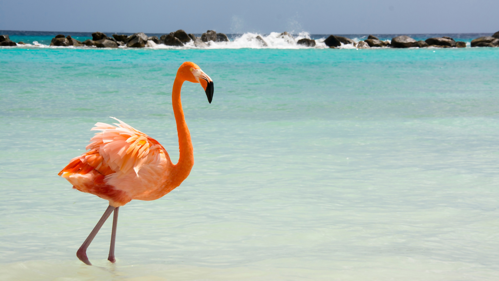 Escape to Aruba with Sunwing