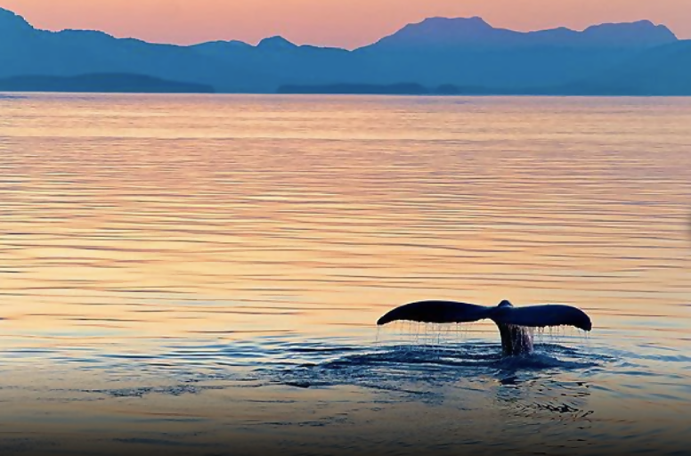 Inside Passage (Cruising)