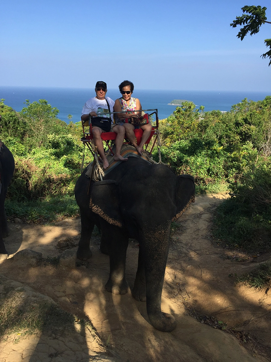 Elephant
