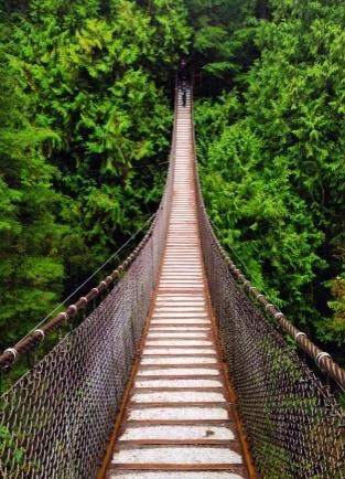 The Charm Of The North Shore