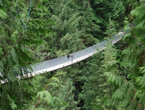 Totems, Canyon And Mountain