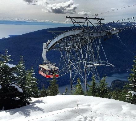 Totems, Canyon And Mountain