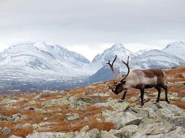 Scandinavia