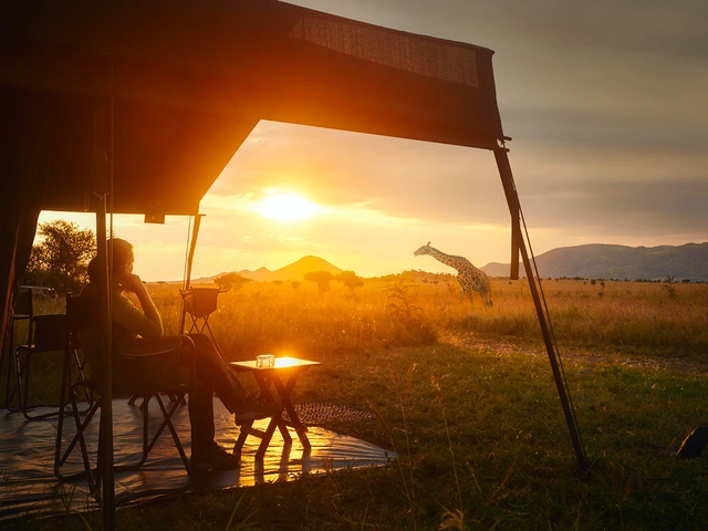 Africa & Safaris