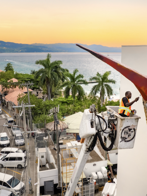Record-Breaking Art Installation Celebrates One of Jamaica's National Symbols
