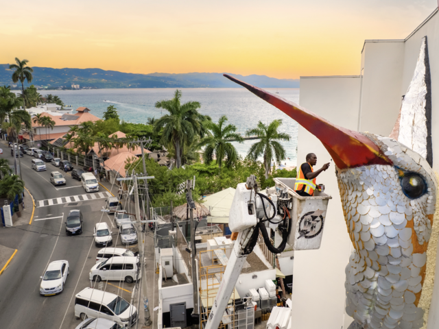 Record-Breaking Art Installation Celebrates One of Jamaica's National Symbols
