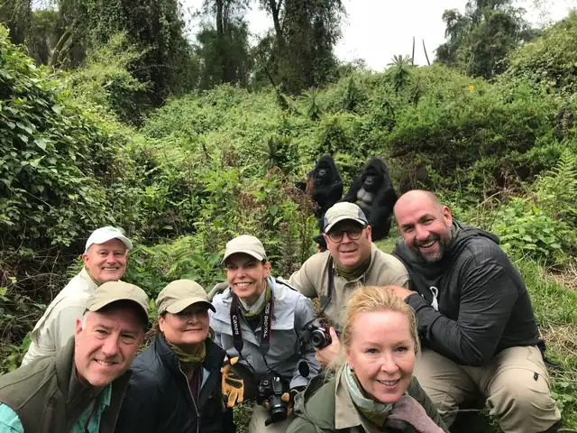 Safaris-Gorilla-Group01.jpeg