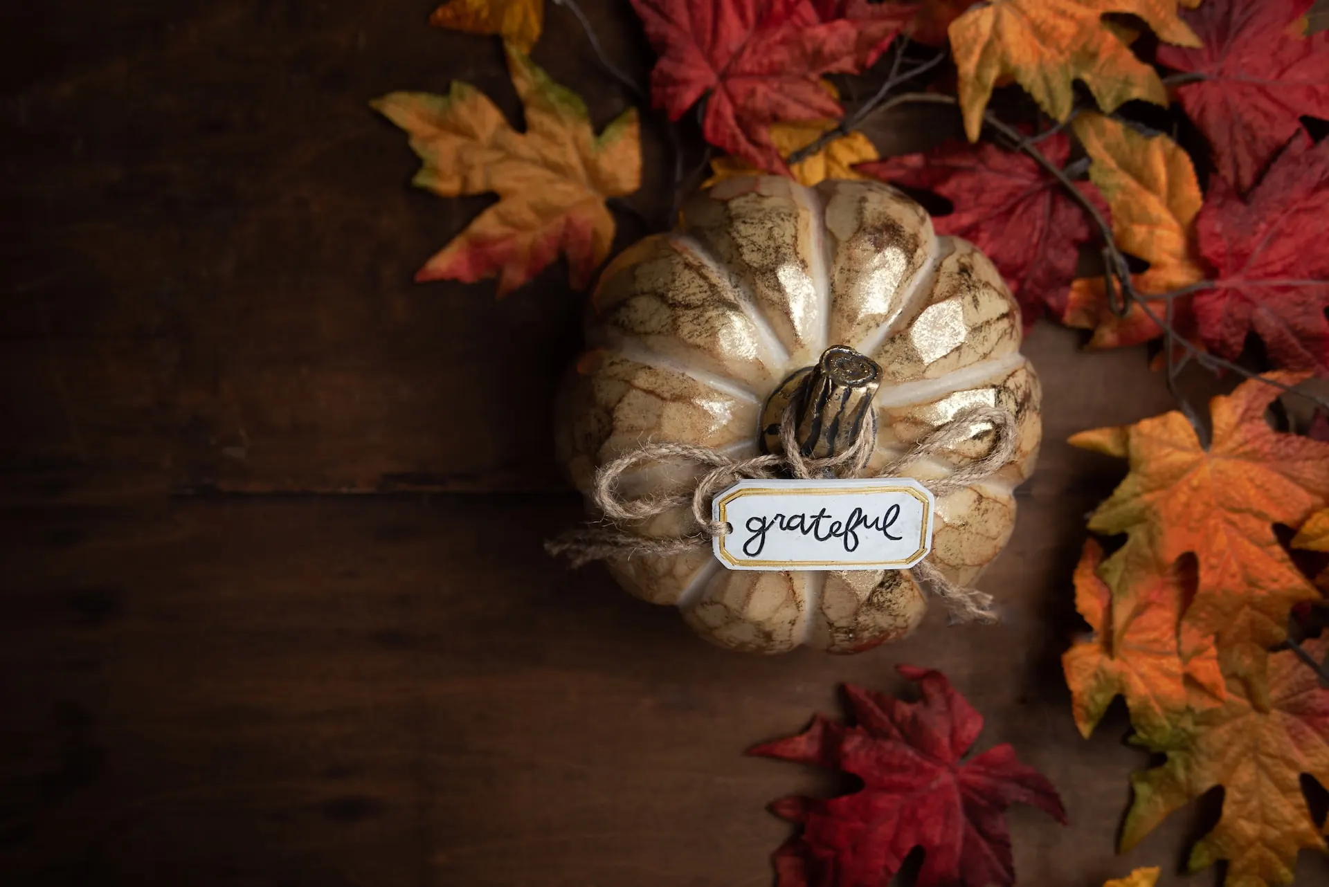 From Us To You… Happy Thanksgiving!