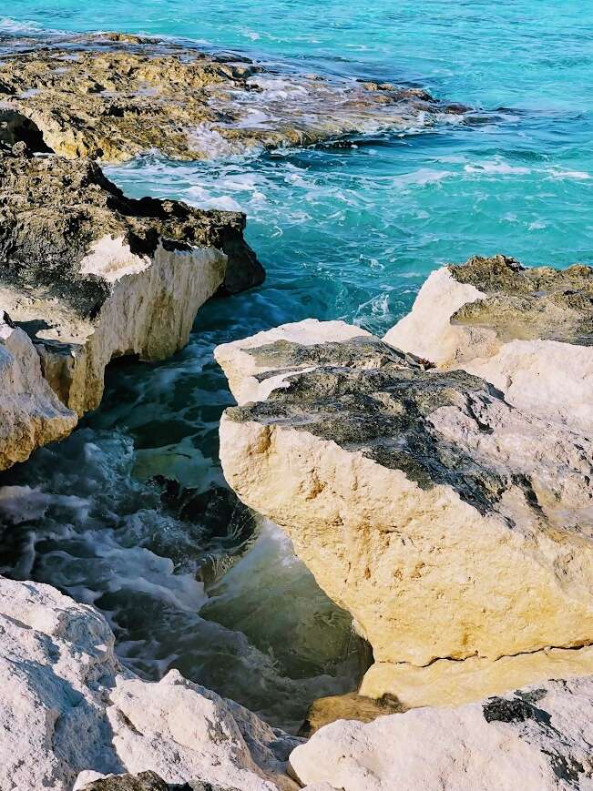 The love of nature and all things with water