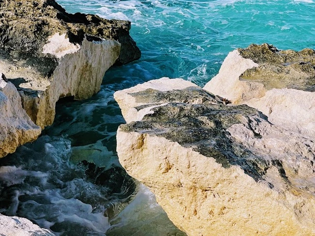 The love of nature and all things with water