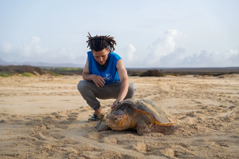 RIU Resort-Supported Eco Project Reports Triumph for Turtles