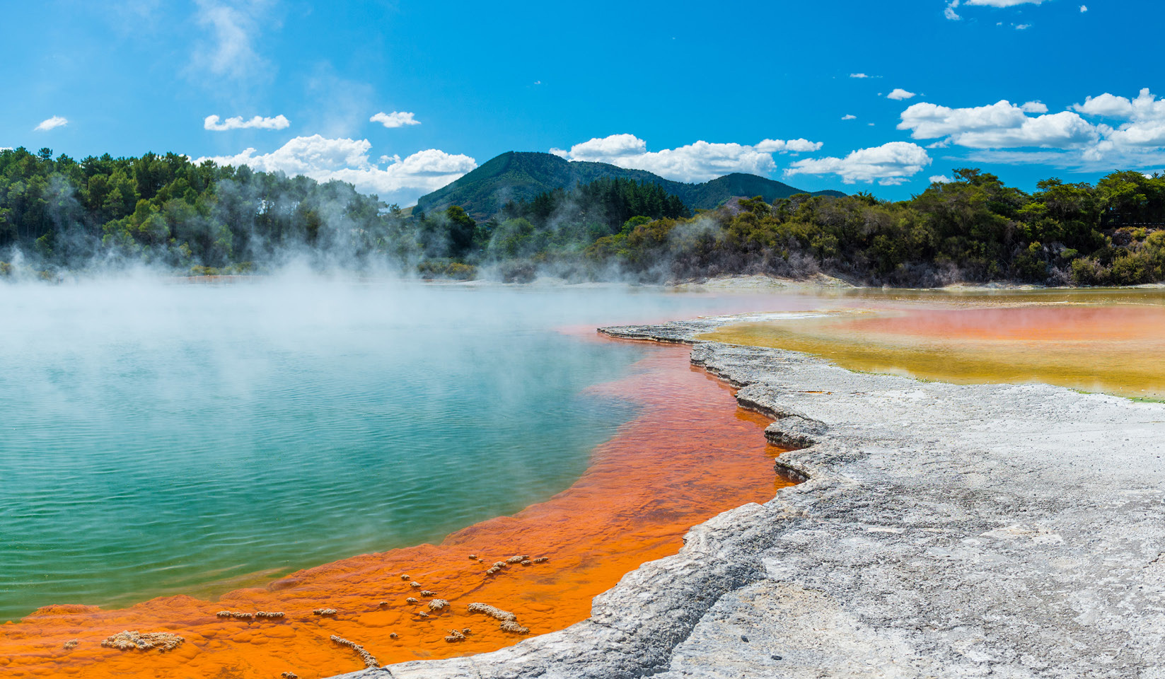 Treasures of New Zealand: Heritage, Vines, & Vistas - Nov 2026 - Globus