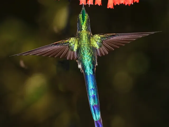 Ecuador and Galapagos Highlights