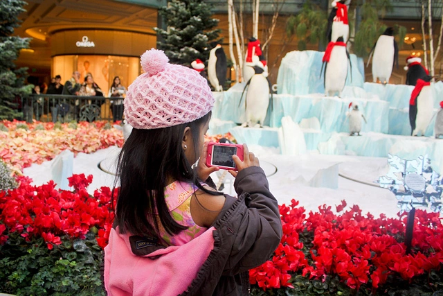 Christmas in Las Vegas