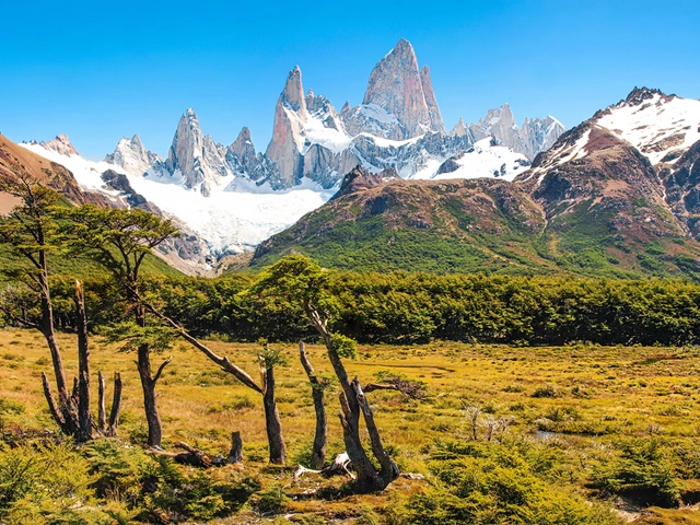 South America