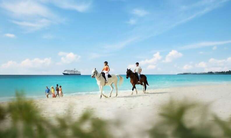 Have It All – Best Amenities Included at 50% Off