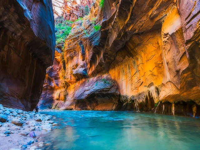 U.S. National Parks