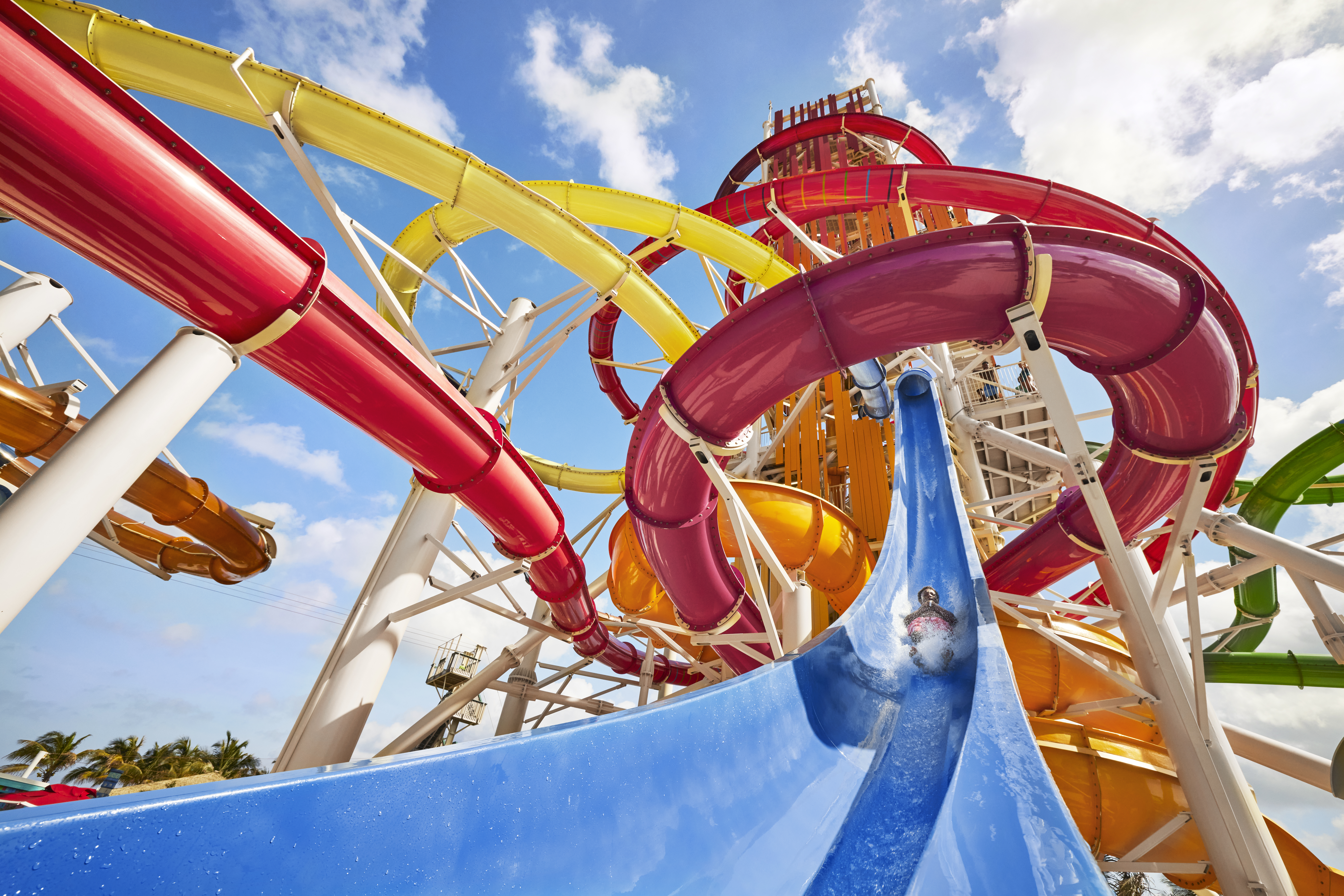 Royal Caribbean Cruises