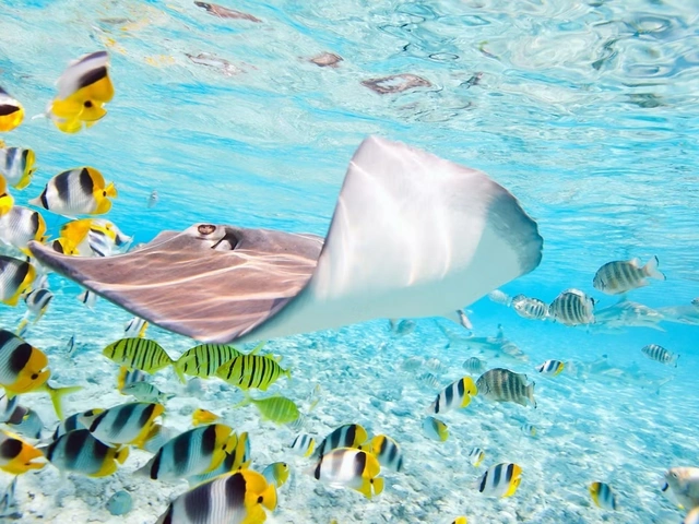 Tahitian Treasures - Celebrity Cruises